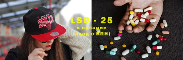 PSILOCYBIN Гусь-Хрустальный