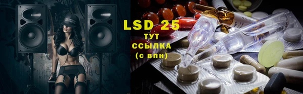 PSILOCYBIN Гусь-Хрустальный