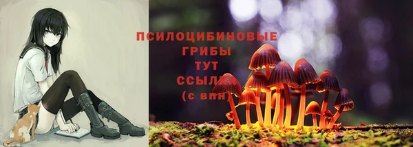 PSILOCYBIN Гусь-Хрустальный