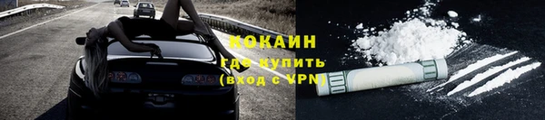 дмт Гусев