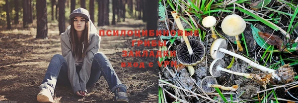 дмт Гусев