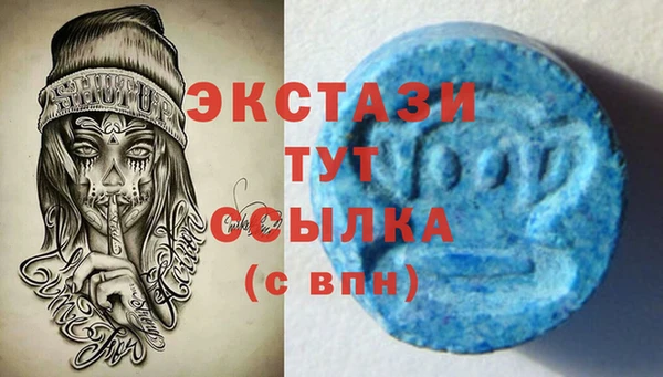 дмт Гусев