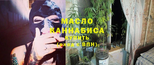 дмт Гусев