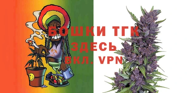 PSILOCYBIN Гусь-Хрустальный