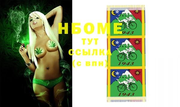 дмт Гусев